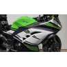 KAWASAKI NINJA 300