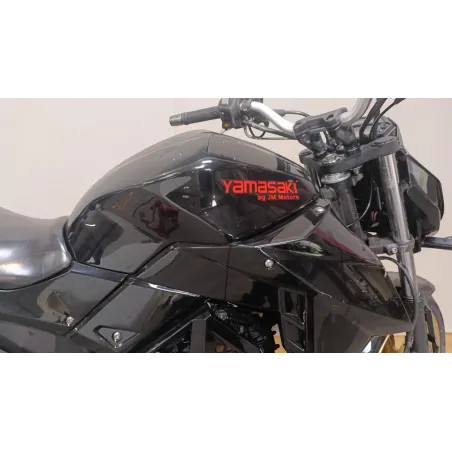 JM MOTORS 50 RS