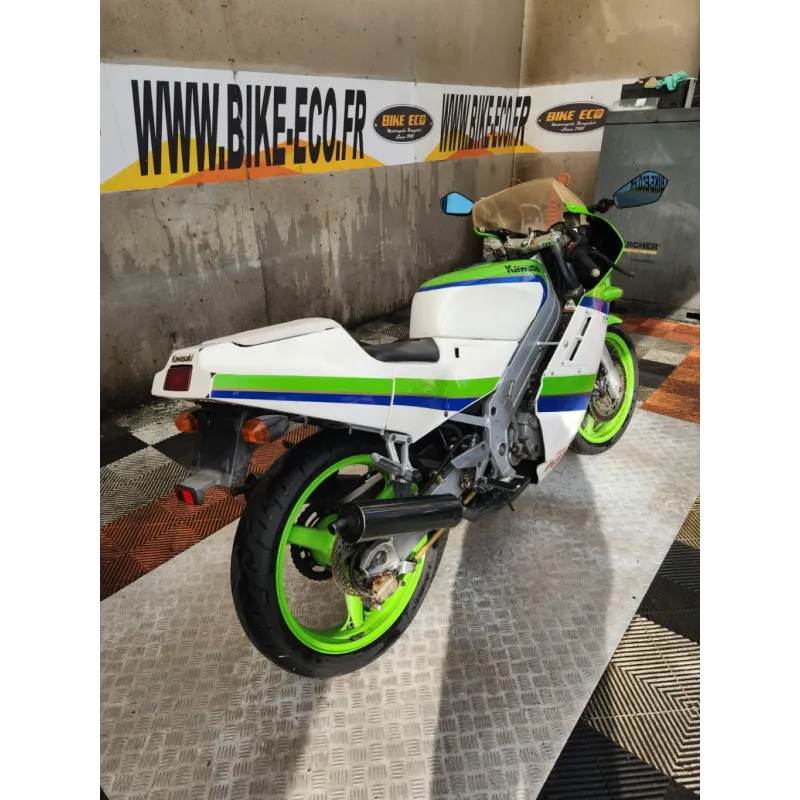KAWASAKI KR1 250