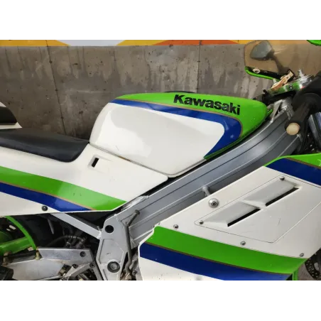 KAWASAKI KR1 250