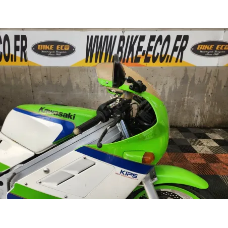 KAWASAKI KR1 250
