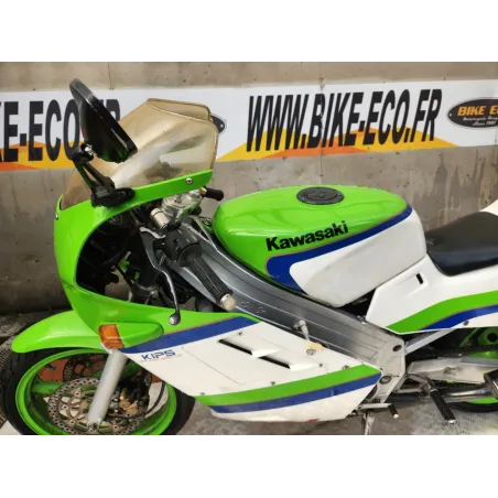 KAWASAKI KR1 250