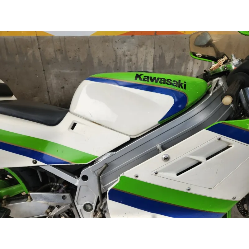 KAWASAKI KR1 250