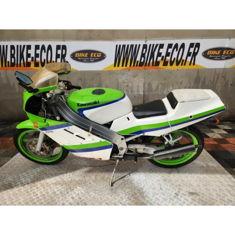 KAWASAKI KR1 250