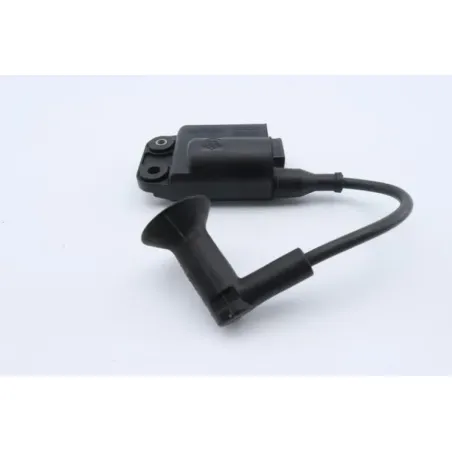 Boitier cdi PIAGGIO NRG POWER 50 2004 - 2017