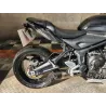 TRIUMPH TRIDENT 660 A2 .