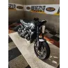 TRIUMPH TRIDENT 660 A2 .