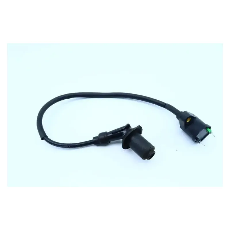 Bobine allumage JM MOTORS MIA RS 50 2020 -2021