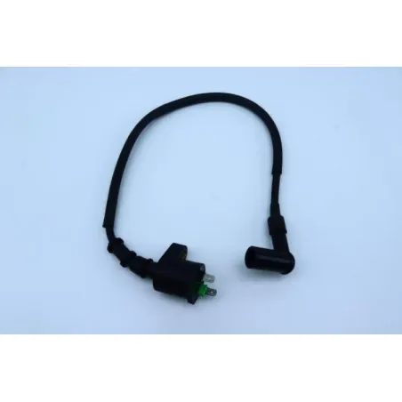 Bobine allumage IMF INDUSTRIE PTIO 50 2014 - 2020