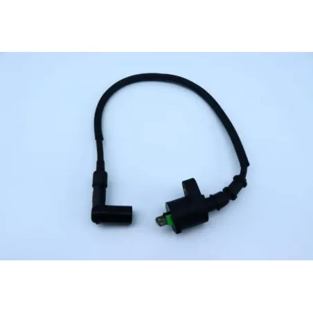 Bobine allumage IMF INDUSTRIE PTIO 50 2014 - 2020
