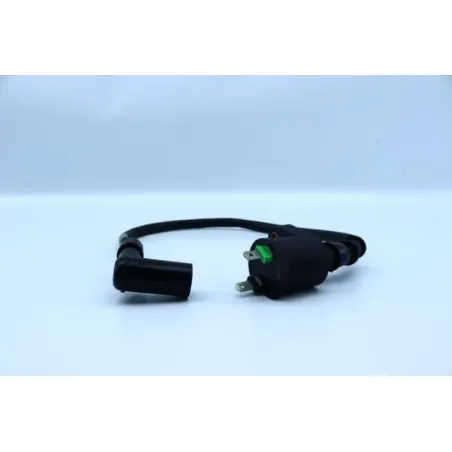 Bobine allumage IMF INDUSTRIE PTIO 50 2014 - 2020