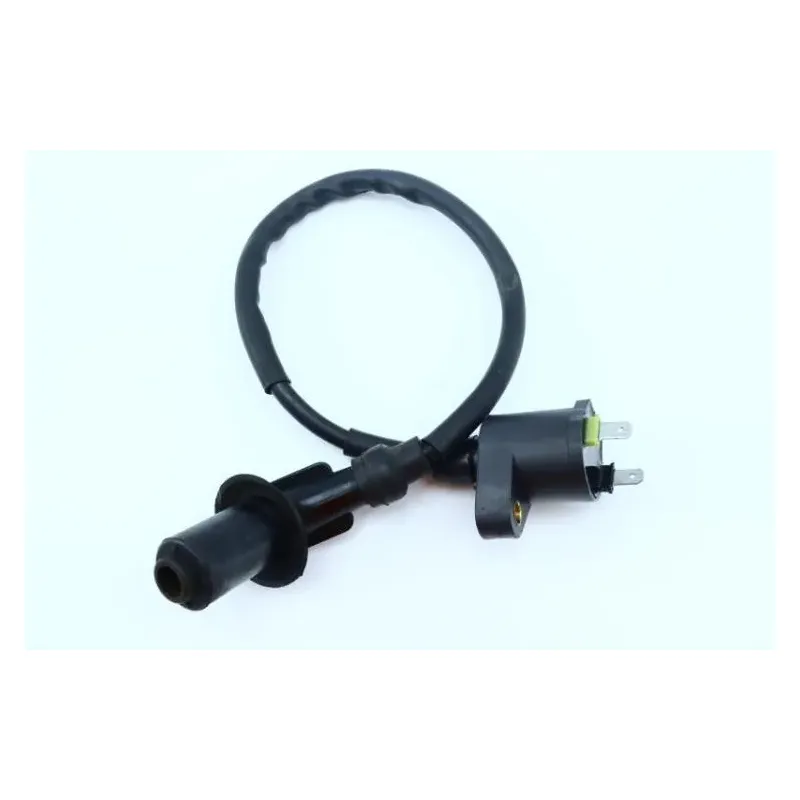 Bobine allumage JM MOTORS DI LUCIO 50 2017 - 2018