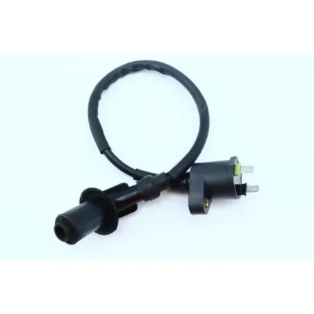 Bobine allumage JM MOTORS DI LUCIO 50 2017 - 2018