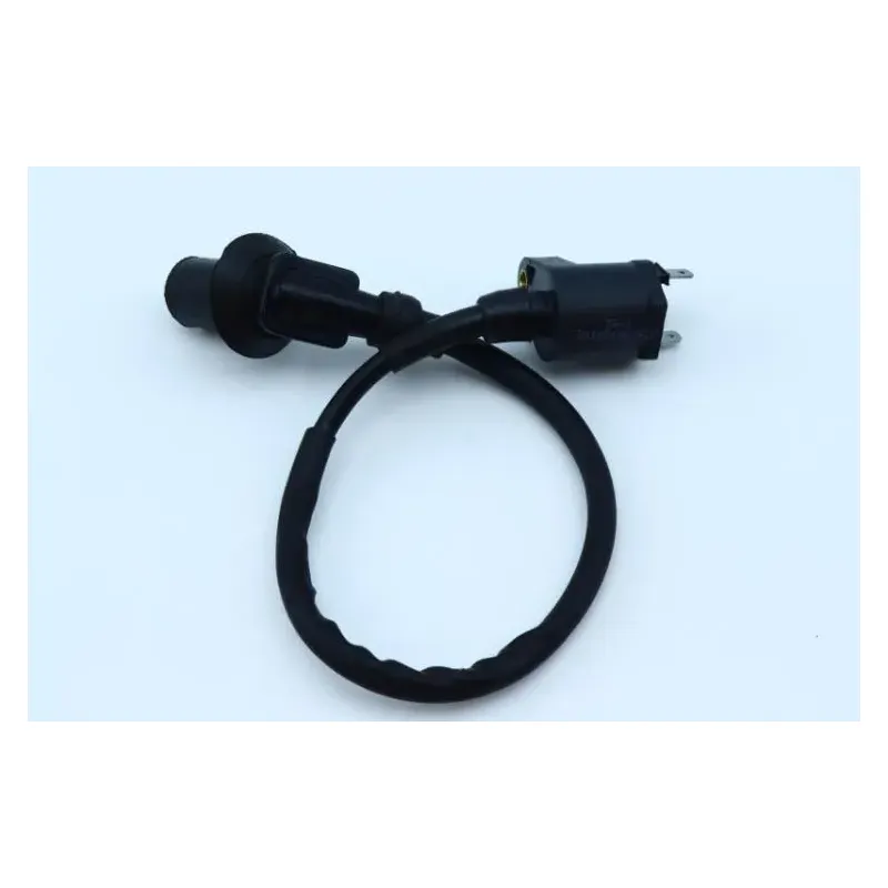 Bobine allumage JM MOTORS DI LUCIO 50 2017 - 2018