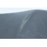 Selle RIDE RIDE CLASSIC RIDE 50 2014 - 2016