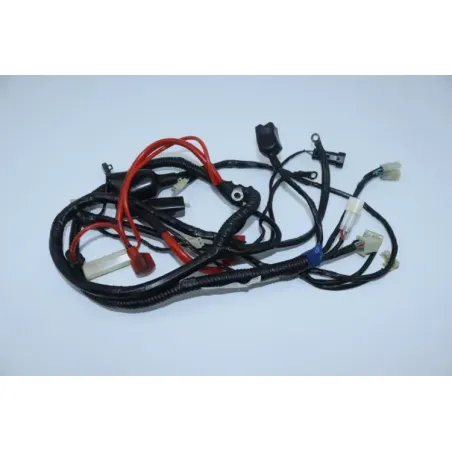Faisceau electrique RIDE RIDE CLASSIC RIDE 50 2014 - 2016