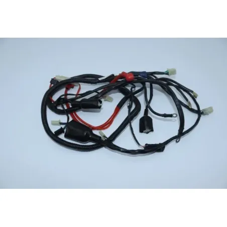 Faisceau electrique RIDE RIDE CLASSIC RIDE 50 2014 - 2016