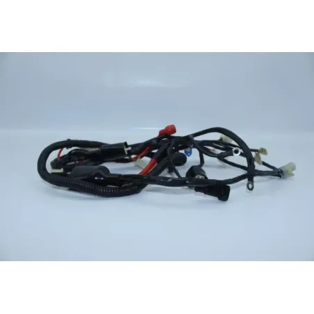 Faisceau electrique RIDE RIDE CLASSIC RIDE 50 2014 - 2016