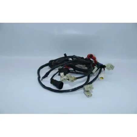 Faisceau electrique RIDE RIDE CLASSIC RIDE 50 2014 - 2016