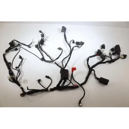Faisceau electrique ZONGSHEN CYCLONE RX3S 400 ABS 2019 - 2022