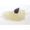 Vase expansion KAWASAKI ER5 500 1997 - 2006