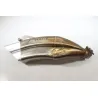 Silencieux (echappement) SUZUKI GSR 750 2011 - 2016