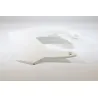 Flanc avant gauche GILERA RCR 50 2006 - 2010