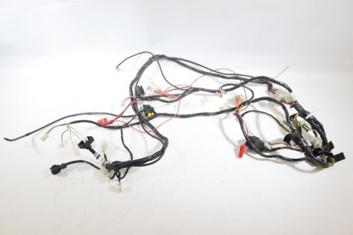 Faisceau electrique DERBI 50 GPR 2006 - 2010
