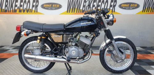 GUZZI 250 TS