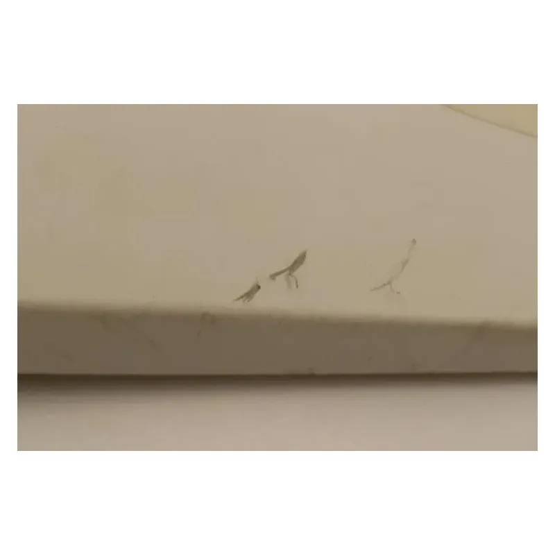 Coque arriere droit CPI SM 50 2005 - 2015
