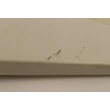 Coque arriere droit CPI SM 50 2005 - 2015
