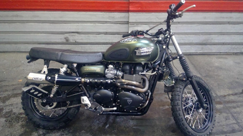 TRIUMPH 900 SCRAMBLER