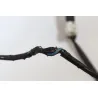Faisceau electrique YAMAHA XP 530 TMAX ABS 2012 - 2014 Faisceau electrique YAMAHA XP 530 TMAX ABS 2012 - 2014