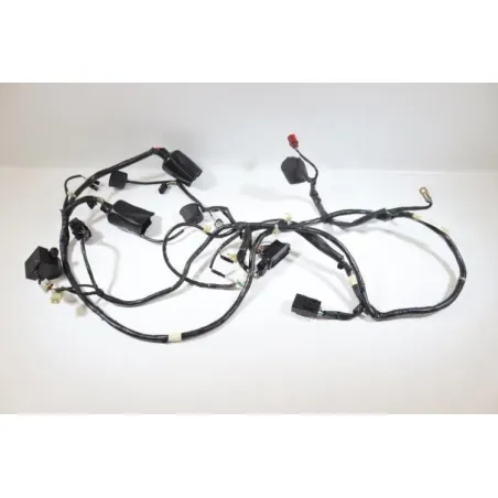 Faisceau electrique HONDA PES 125 2006 - 2007