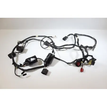 Faisceau electrique HONDA PES 125 2006 - 2007