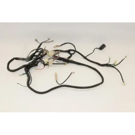 Faisceau electrique MAZAKI LB 125 T 2012 - 2012
