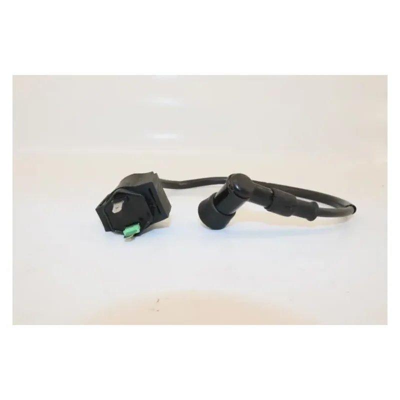 Bobine allumage DIRT BIKE DIRT 110 2014 - 2014