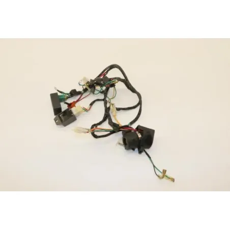 Faisceau electrique DIRT BIKE DIRT 110 2014 - 2014