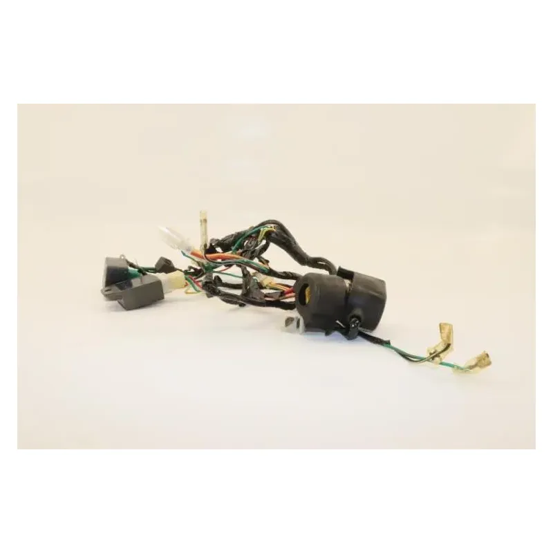Faisceau electrique DIRT BIKE DIRT 110 2014 - 2014