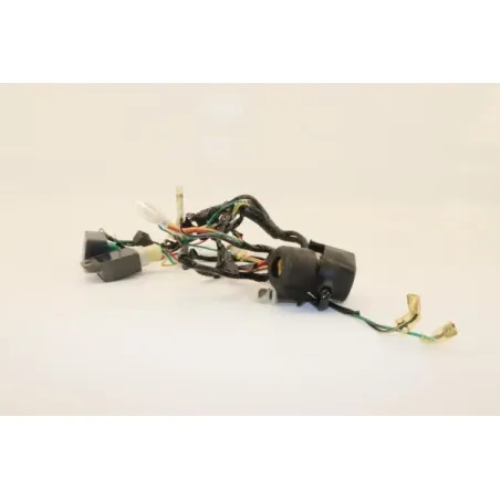 Faisceau electrique DIRT BIKE DIRT 110 2014 - 2014