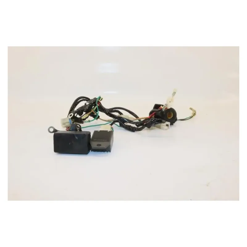 Faisceau electrique DIRT BIKE DIRT 110 2014 - 2014