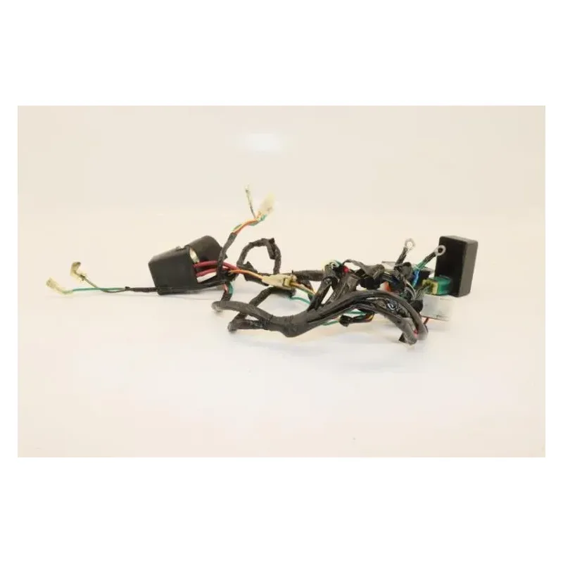 Faisceau electrique DIRT BIKE DIRT 110 2014 - 2014