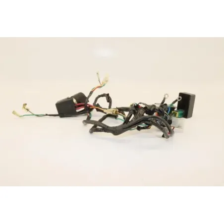 Faisceau electrique DIRT BIKE DIRT 110 2014 - 2014