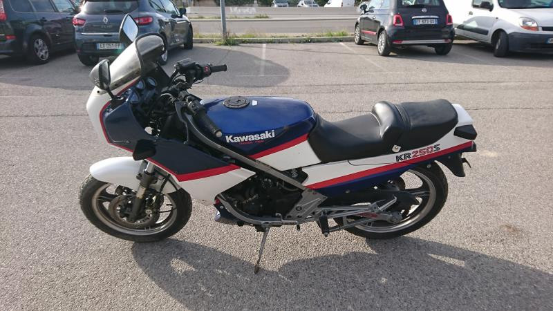 KAWASAKI KR 250 S - BIKE-ECO