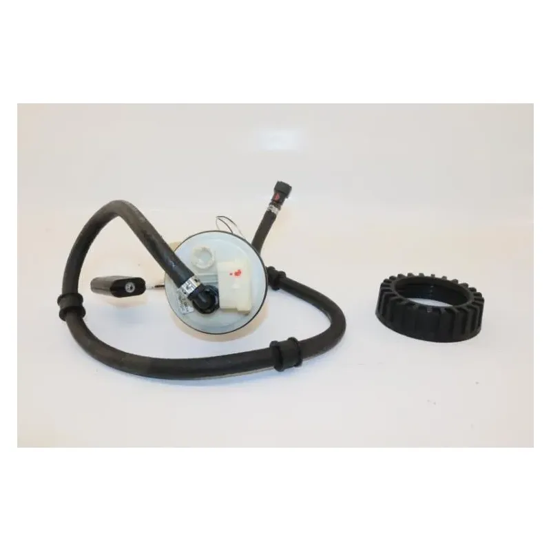 Pompe a essence APRILIA SCARABEO 125 2009 - 2010