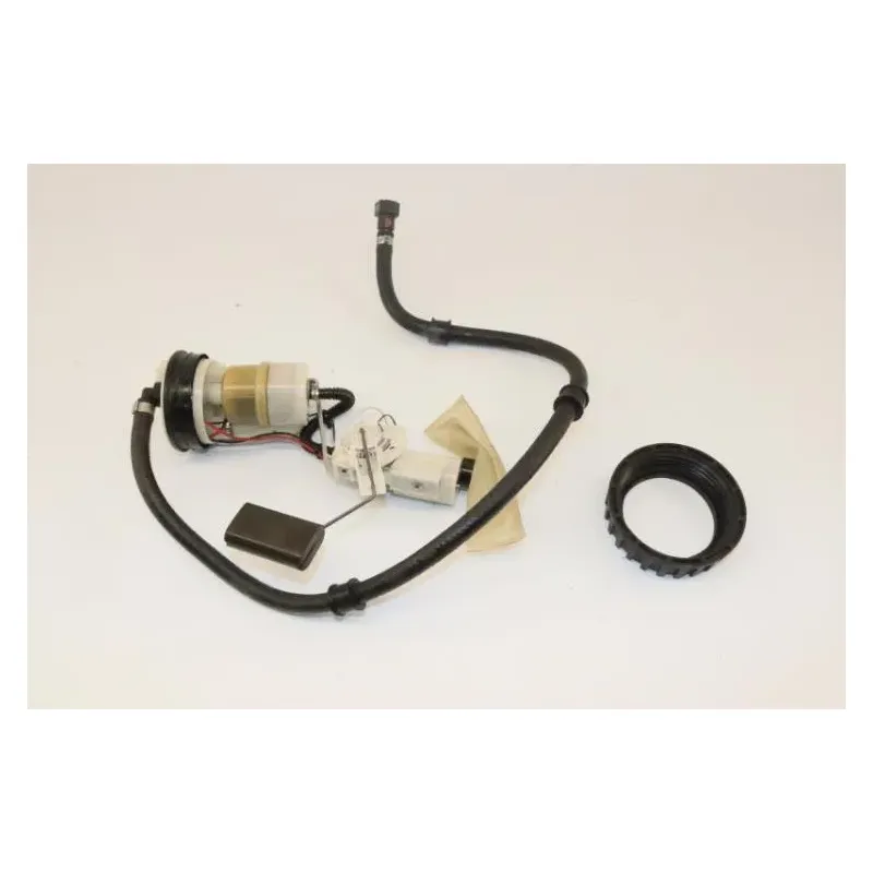 Pompe a essence APRILIA SCARABEO 125 2009 - 2010