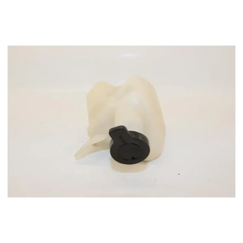 Vase expansion APRILIA SCARABEO 125 2009 - 2010