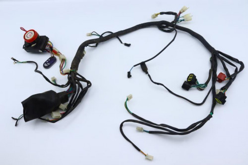 Faisceau electrique SPY F1 350 RACING 2014