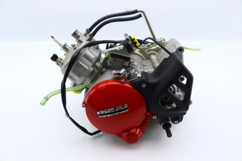 Moteur RIEJU 50 MRT 2022