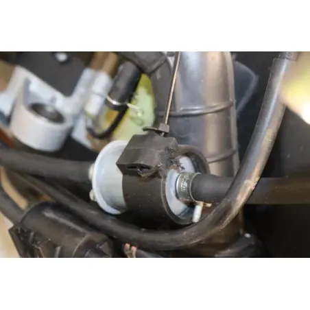 Moteur JM MOTORS OLDIES 50 GT 2010 - 2017